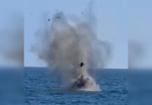 Румыния сбила два дрона вблизи своего газового месторождения в Черном море: что известно (видео)