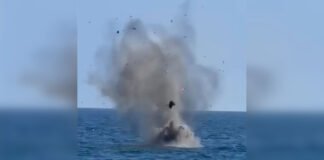 Румыния сбила два дрона вблизи своего газового месторождения в Черном море: что известно (видео)