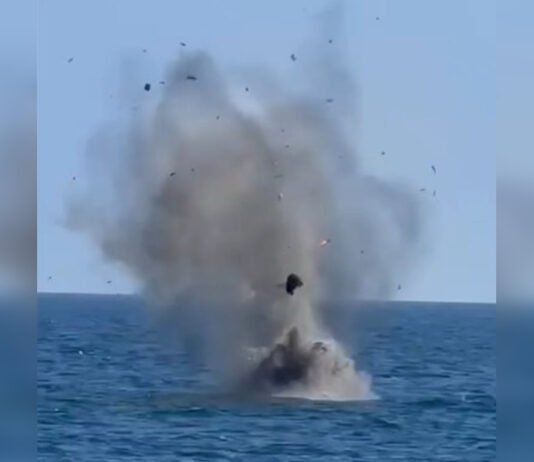 Румыния сбила два дрона вблизи своего газового месторождения в Черном море: что известно (видео)