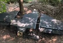 «Герберы» стали значительно больше: в небе заметили новую версию российского дрона, — «Флеш»