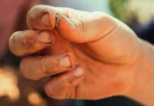 В «Хранилище Судного дня» провели инвентаризацию: выводы оказались тревожными