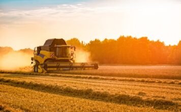 Транспорт и агротехника формируют основу портфелей лизинговых компаний