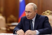 Сенатор Тиллис заявил, что Путин не хочет мира перед зимой