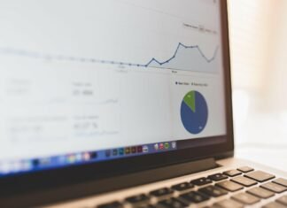 В Запорожской области зарегистрировано более 31 тысяч компаний и ФЛП: сколько новых бизнесов появилось в 2026 году