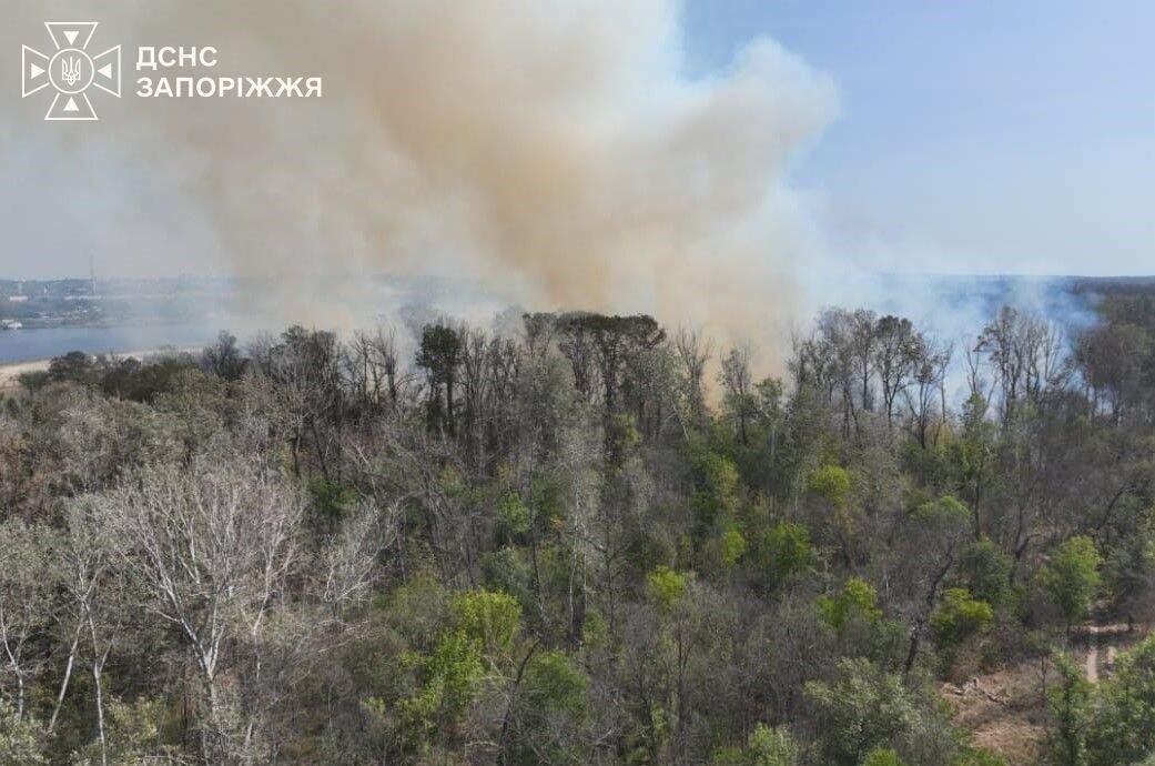 В Запорожье и области за сутки произошло 18 пожаров в экосистемах