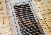 В Запорожье спасатели за сутки сняли с деревьев двух кошек и вытащили собаку из затопленной ливневой канализации