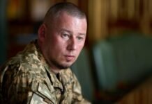 Палиса раскрыл новый дедлайн РФ для захвата всего Донбасса