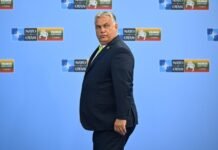 444.hu: Брат Орбана хотел организовать в Австрии еще одно задержание украинских инкассаторов