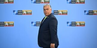 444.hu: Брат Орбана хотел организовать в Австрии еще одно задержание украинских инкассаторов