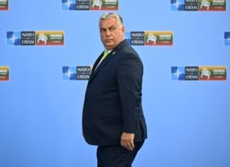 444.hu: Брат Орбана хотел организовать в Австрии еще одно задержание украинских инкассаторов