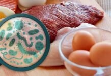 В Запорожье пять человек заболели сальмонеллезом