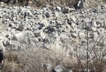 В Запорожье объявили подозрение директору компании, загрязнившей земельный участок строительными отходами: убытки оценили в 36,7 млн гривен