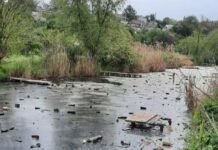 В Запорожье обнаружили загрязнение малых рек