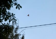 Дрон попал в магазин в Соломенском районе Киева, есть погибшие
