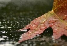 В Запорожье из-за циклона ожидается переменчивая погода