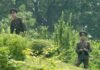 КНДР демонстративно выставила гаубицы у границы с Южной Кореей, — Reuters