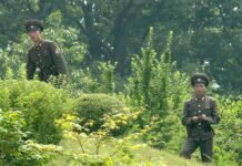 КНДР демонстративно выставила гаубицы у границы с Южной Кореей, — Reuters