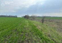 В Запорожской области вернут 27 гектаров заказника, которые использовали для сельского хозяйства