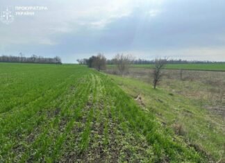 В Запорожской области вернут 27 гектаров заказника, которые использовали для сельского хозяйства