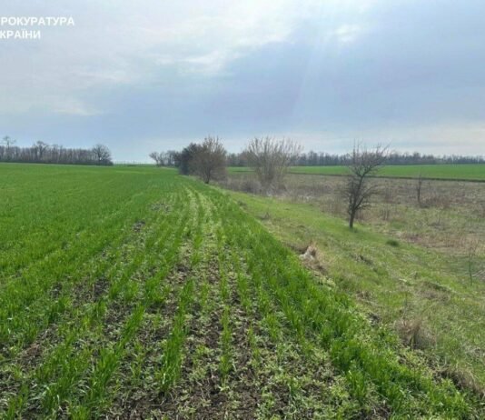 В Запорожской области вернут 27 гектаров заказника, которые использовали для сельского хозяйства