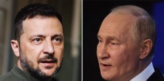«Есть предложение»: США работают над встречей Зеленского и Путина