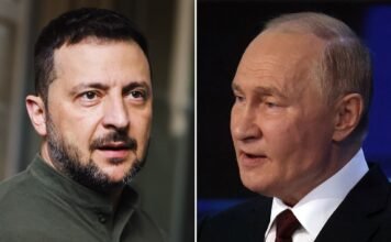 «Есть предложение»: США работают над встречей Зеленского и Путина