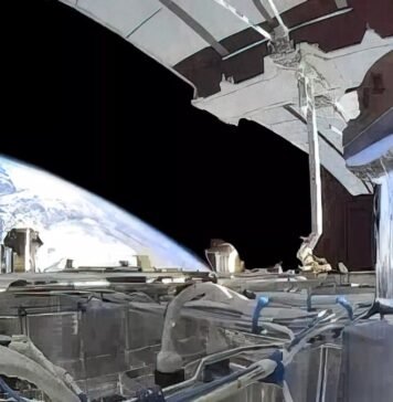 Маск лично предложил Трампу ограничить скорость Starlink для украинских вооруженных сил – СМИ