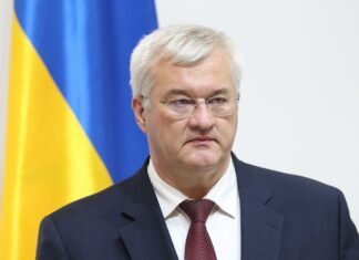 Почему скандал с Южной Кореей никак не закончится: ответ Сибиги