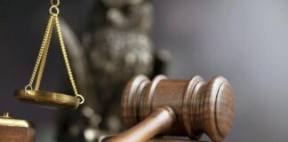 В Запорожье мужчину оштрафовали за нападение на женщину после замечания из-за выгула собаки