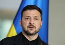 Зеленский призвал сенаторов надавить на Трампа, чтобы возобновить помощь Украине, — Axios